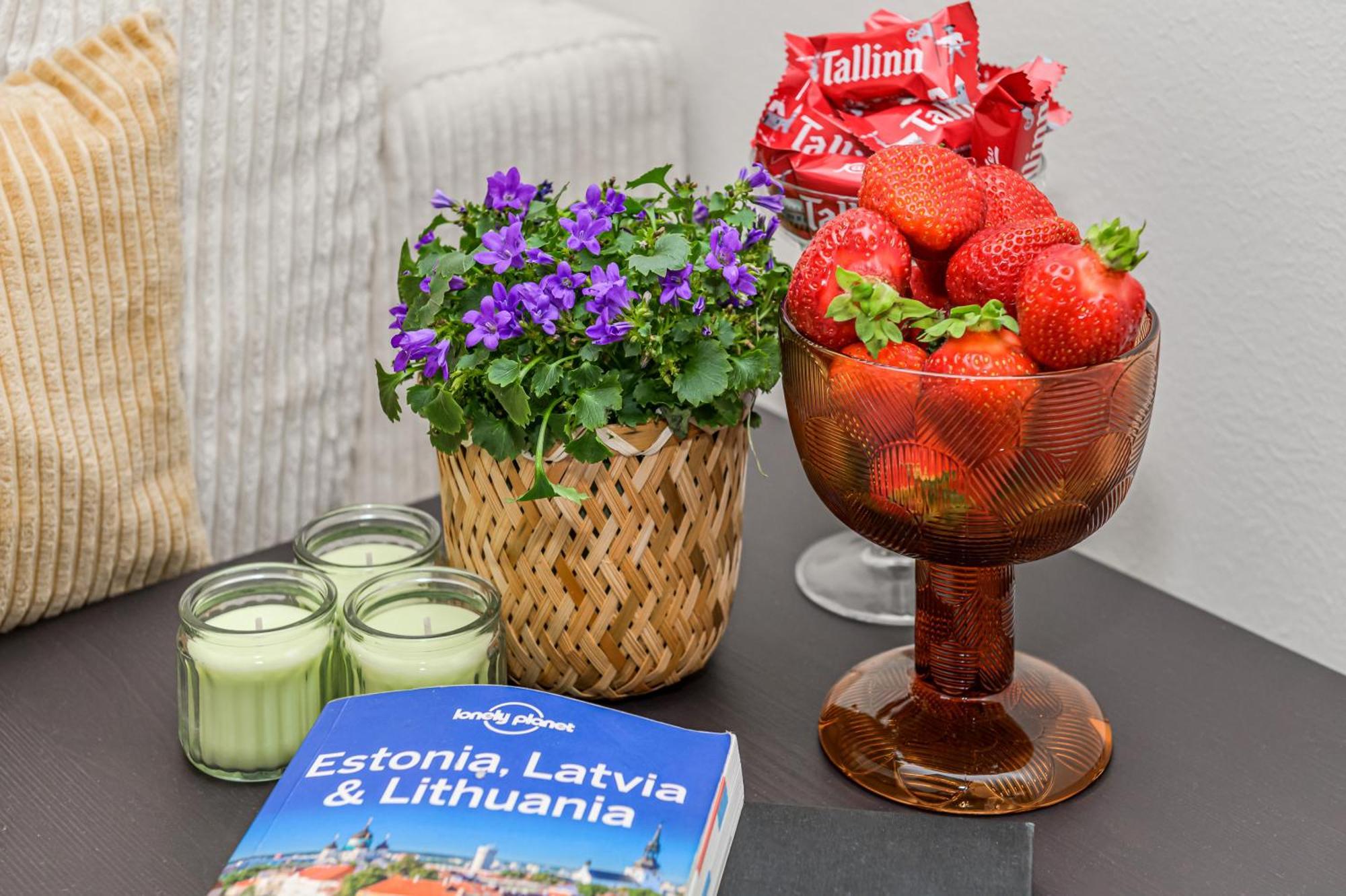 Tallinn Old Town Romantic Apartment Dış mekan fotoğraf